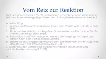 Vorschau - Unterrichtsreihen - Unterrichtsreihe "Sinne, Nerven und Hormone" Komplettpaket - Seite 2