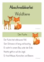 Vorschau - Anderer Materialtyp - Abschreibkartei - Waldtiere (Klasse 1/2) - Seite 1