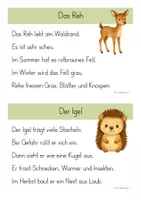 Vorschau - Anderer Materialtyp - Abschreibkartei - Waldtiere (Klasse 1/2) - Seite 2