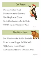 Vorschau - Anderer Materialtyp - Abschreibkartei - Waldtiere (Klasse 1/2) - Seite 3