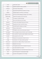 Vorschau - Spiele - Vocabulary Definitions Fashion and Trends - Seite 3