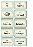 Vorschau - Spiele - Das Kräuterquiz - Zuordnungaufgabe - Seite 3