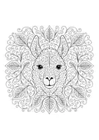 Vorschau - Mal- und Bastelvorlagen - Mandalas Tiere Zentangle - Seite 1