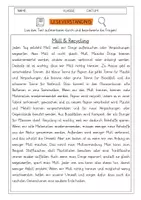 Vorschau - Arbeitsblätter - Leseverständnis 3. Klasse "Müll und Recycling" - Deckblatt