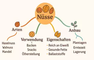 Vorschau - Arbeitsblätter - Lernposter + Arbeitsblatt "Nüsse" + Onlineübung & MP3 + Mindmap - Seite 3