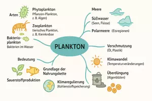 Vorschau - Arbeitsblätter - Lernposter + Arbeitsblätter zum Thema "Plankton" + Lösung & MP3 + Mindmap + Infografik - Seite 3