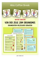 Vorschau - Merkblätter - Von der Zelle zum Organismus & Vom Einzeller zum Vielzeller - Deckblatt