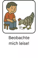 Vorschau - Bildkarten - Regelkarten Hühner - Seite 3