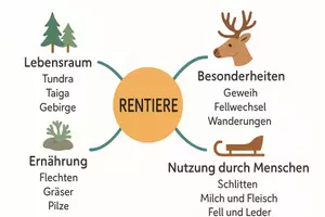 Vorschau - Arbeitsblätter - Arbeitsblätter "Rentiere" + Onlineübung & MP3 + Mindmap + Infografik - Seite 3