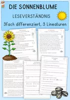 Vorschau - Arbeitsblätter - Die Sonnenblume, Lesekompetenz, differenziert, Klasse 2, 3, 4 - Deckblatt