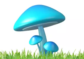 Aperçu - Préparation de séance / Séance complète - kamishibai J’ai ramassé des champignons - Page 3