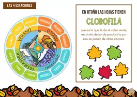 Vista previa - Unidades / Secuencias / Situaciones de Aprendizaje - Libro actividades de otoño - Tesoros Brillantes - página 2