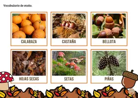 Vista previa - Unidades / Secuencias / Situaciones de Aprendizaje - Libro actividades de otoño - Tesoros Brillantes - página 3