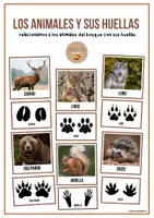 Vista previa - Unidades / Secuencias / Situaciones de Aprendizaje - Animales del bosque - Tesoros Brillantes - Portada