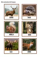Vista previa - Unidades / Secuencias / Situaciones de Aprendizaje - Animales del bosque - Tesoros Brillantes - página 2