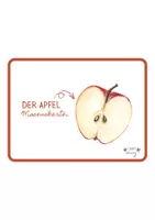 Vorschau - Bildkarten - Der Apfel - Wissenskartei - Seite 1