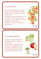 Vorschau - Bildkarten - Der Apfel - Wissenskartei - Seite 2