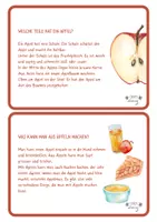Vorschau - Bildkarten - Der Apfel - Wissenskartei - Seite 3