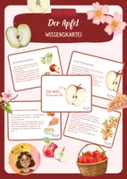 Vorschau - Bildkarten - Der Apfel - Wissenskartei - Deckblatt