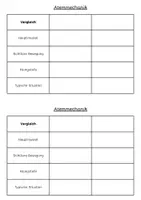 Vorschau - Arbeitsblätter - Atemmechanik_Arbeitsblatt - Seite 3