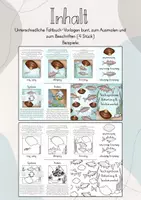 Vorschau - Arbeitsblätter - Faltbuch: Teichsymbiose: Teichmuschel & Bitterling - Seite 2