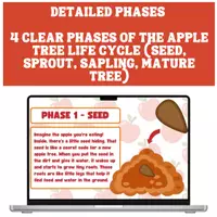Vorschau - Spiele - Apple Life Cycle Apfel-Lebenszyklus - Seite 1