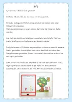 Vorschau - Spiele - Apfelrennen ZR6, Würfel- und Legespiel - Seite 1