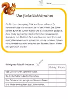 Vorschau - Arbeitsblätter - 4 Lesetexte Herbst (2. Klasse) mit Richtig/Falsch Aufgaben - Seite 3