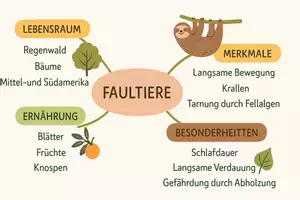 Vorschau - Arbeitsblätter - Arbeitsblatt zum Thema "Faultiere" + Onlineübung & MP3 + Mindmap + Infografik - Seite 3