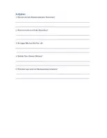 Vorschau - Arbeitsblätter - Die Mücke 🦟 Lesetraining Deutsch / DaZ – Textverständnis Arbeitsblätter mit Fragen - Seite 2
