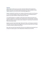 Vorschau - Arbeitsblätter - Spanien 🇪🇸 Lesetraining Deutsch / DaZ – Textverständnis Arbeitsblätter mit Fragen - Seite 1
