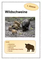 Vorschau - Arbeitsblätter - Wildschweine - 1. Klasse - Deckblatt