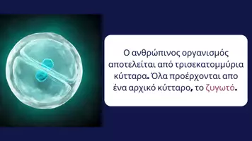 Προεπισκόπηση - Διαδραστικό υλικό - Κεφάλαιο1_Αλυκείου - Σελίδα 1