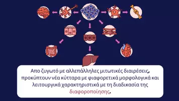 Προεπισκόπηση - Διαδραστικό υλικό - Κεφάλαιο1_Αλυκείου - Σελίδα 2