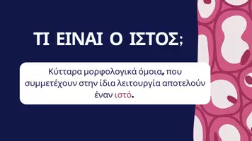 Προεπισκόπηση - Διαδραστικό υλικό - Κεφάλαιο1_Αλυκείου - Σελίδα 3