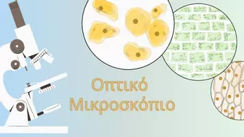 Προεπισκόπηση - Πειράματα - Οπτικό μικροσκόπιο - Σελίδα 1