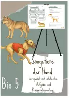 Vorschau - Unterrichtsreihen - Hund - Einheit Säugetiere Bio 5: Arbeitsblätter, Infotexte, Terra X-Film mit Fragen, Präsentationsaufgabe - Seite 1