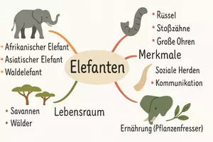 Vorschau - Arbeitsblätter - Arbeitsblatt zum Thema "Elefanten" + Onlineübung & MP3 + Mindmap + Infografik - Seite 2
