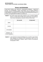 Vorschau - Stundenentwürfe - Stundenplanung Sonnen- und Schattenblätter inkl. Arbeitsmaterial Sek. I & II - Seite 1