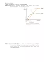 Vorschau - Stundenentwürfe - Stundenplanung Sonnen- und Schattenblätter inkl. Arbeitsmaterial Sek. I & II - Seite 2