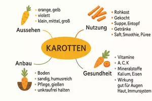 Vorschau - Arbeitsblätter - Arbeitsblätter zum Thema "Karotte" + Lösung & MP3 + Mindmap + Infografik - Seite 2