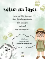 Vorschau - Arbeitsblätter - Dachs Mediakit Mehrstufenklasse - Seite 1