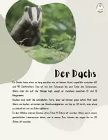 Vorschau - Arbeitsblätter - Dachs Mediakit Mehrstufenklasse - Deckblatt