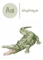 Προεπισκόπηση - Flashcards - 34 εκπαιδευτικές κάρτες ΑΒ & Αριθμοί Born2Play - Σελίδα 1