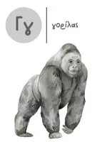Προεπισκόπηση - Flashcards - 34 εκπαιδευτικές κάρτες ΑΒ & Αριθμοί Born2Play - Σελίδα 3