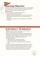 anteprima - Piani di lezione - Catholic Sacraments and Their Meaning - Pagina 1