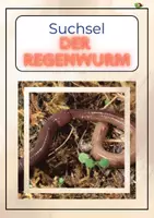Vorschau - Arbeitsblätter - Suchsel „ Der Regenwurm“ - Deckblatt