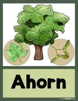 Vorschau - Stationenlernen - Der Wald - Heimische Bäume - Tafelkarten - Seite 2