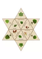 Vorschau - Spiele - Materialpaket Laubbäume - Seite 2