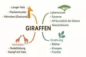 Vorschau - Arbeitsblätter - Arbeitsblatt zum Thema "Giraffen" + Onlineübung & MP3 + Mindmap + Infografik - Seite 3